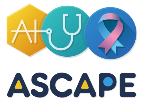 Ascape KOM 